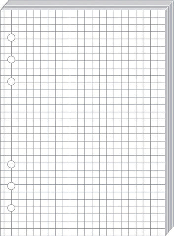 QUO-VADIS Timer21 Planing Notizen 722001Q kariert 15x21cm