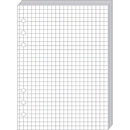 QUO-VADIS Timer21 Planing Notizen 722001Q kariert 15x21cm