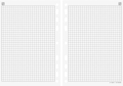 RIDOIDE Timing 1 Notizen kariert 7065451.25 32 Blatt 14.8x21cm