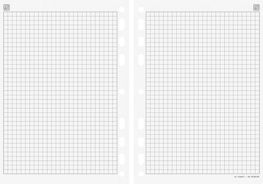 RIDOIDE Timing 2 Notizen kariert 7066451.25 32 Blatt 9.3x17.2cm