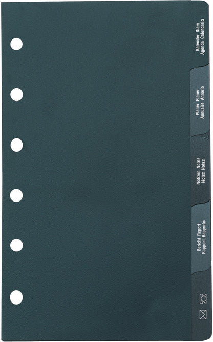 RIDOIDE Timing 3 Hauptregister 7067802.25 Intern. 5-teilig 9x16cm