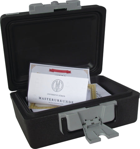 RIEFFEL SWITZERLAND Tresor SecurityCase6 SECURITYCASE 6 feuerfest 389x300x165mm