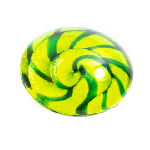 ROOST Magnet Lollipop Ø3.5cm PA-M2041 assortiert