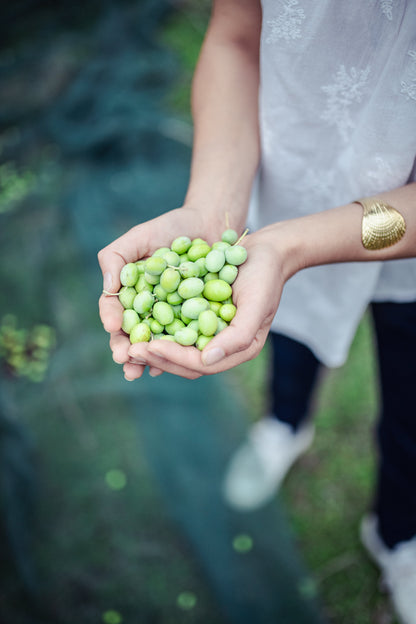 OLISSEY – Organiczna Oliwa Z Oliwek Extra Virgin 50cl | L’AROMATIQUE | Zielony Owocowy • Wczesny Zbiór • Wysoka Zawartość Polifenoli 🌿🇫🇷