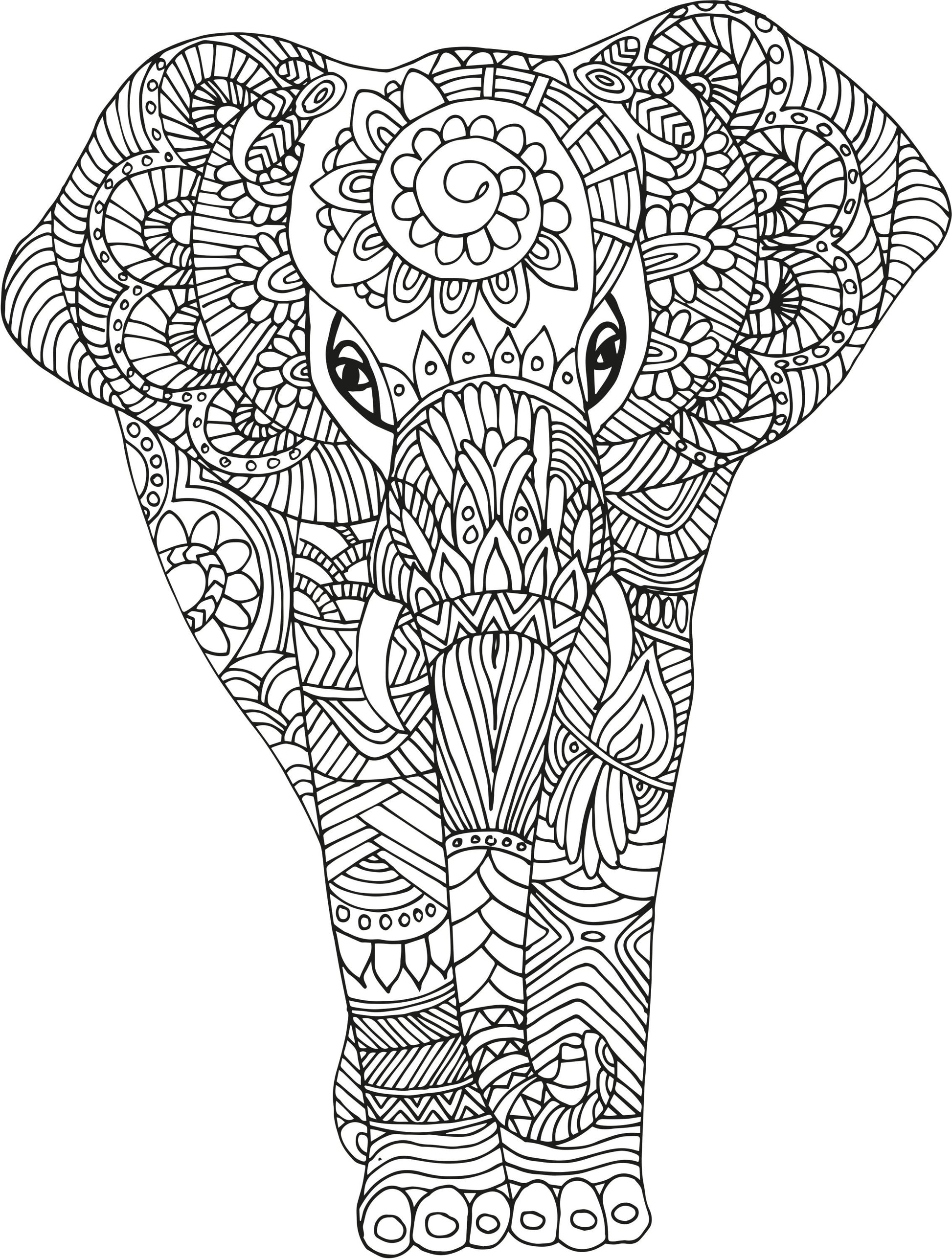 SECURIT Fensterschablone WINDOODLE WD-3A3-KD A3 Kids 3 Stück