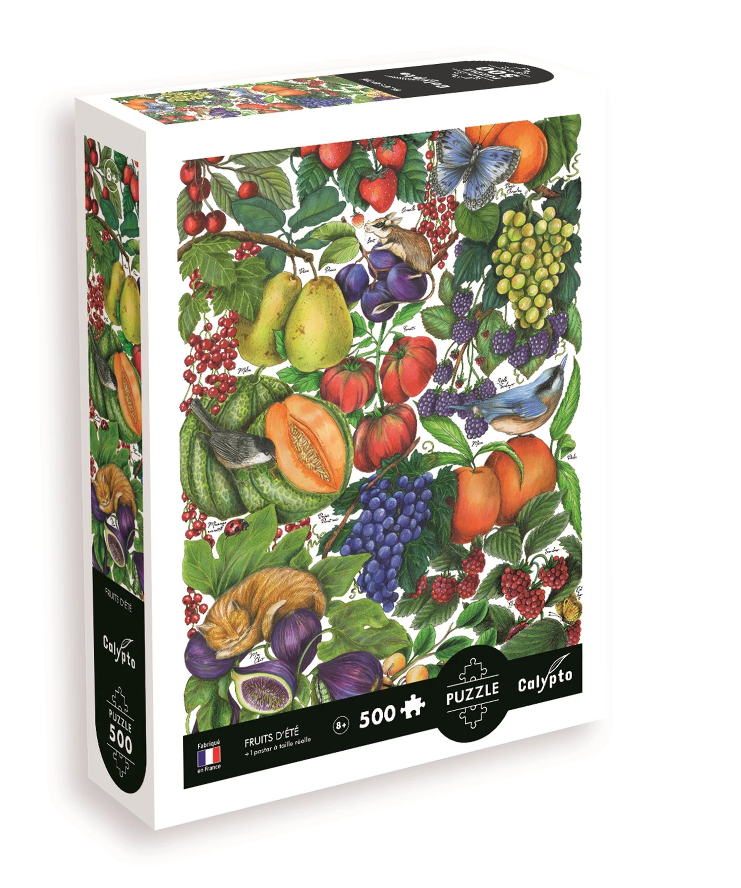 PZ 500PCS LES FRUITS D'ETE (ML)