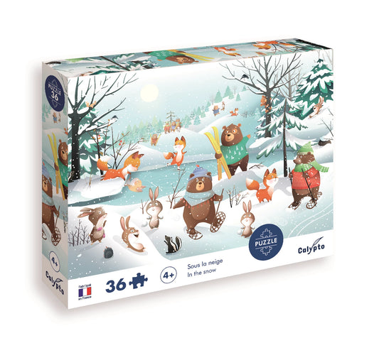 PZ 36PCS SOUS LA NEIGE (ML)