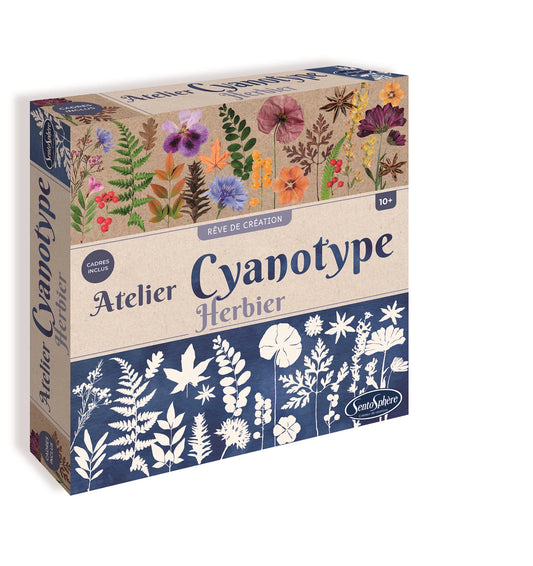 ATELIER CYANOTYPE HERBIER (FR)