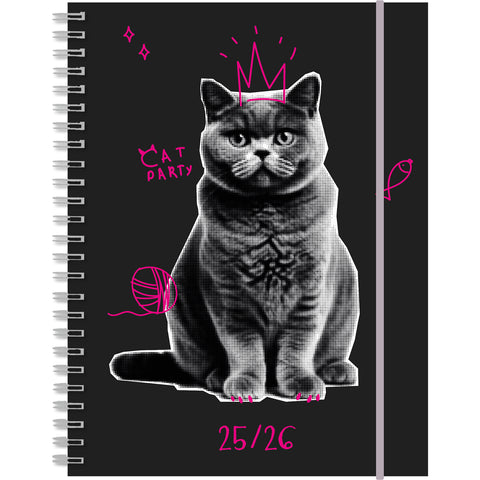 SIMPLEX Schüleragenda Touch 25/26 500431.26 1W/2S 17M Cat ML 12x16.5cm