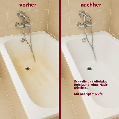 Sanitärreiniger, gegen Kalkverunreinigungen, Konzentrat, pH <2, 10 Liter