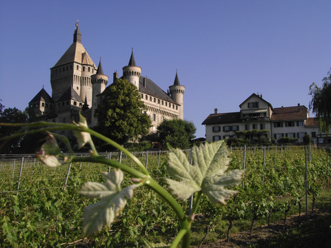 Perey - Grand Cru - Servagnin de Morges