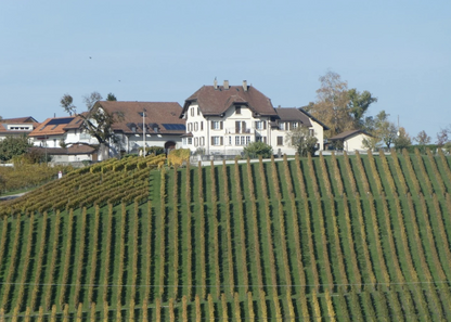 Pérey - Grand Cru - Servagnin de Morges