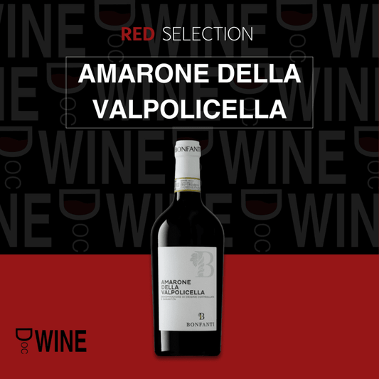 Valpolicella Amarone DOCG Bio 2018 - Bonfanti Vini