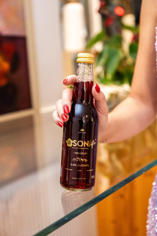 SONLIFE – Infusión Natural de Hibisco Bebida Refrescante | 12 x 0.33L Botellas 🌺💧