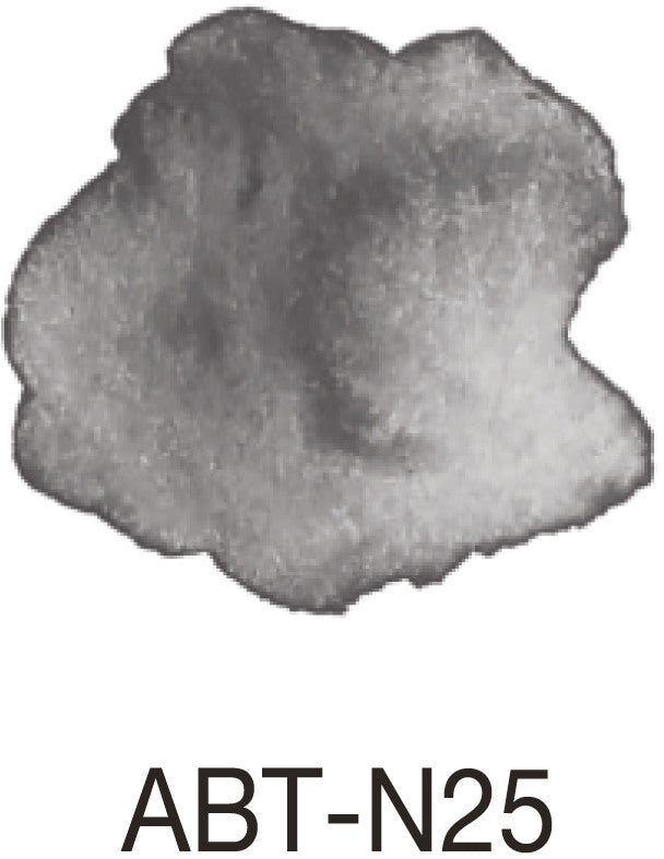 TOMBOW Dual Brush Pen ABT N25 lamp black