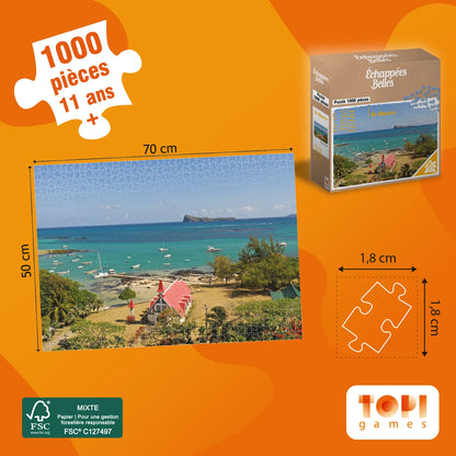 PZ ECHAPEES BELLES ILE MAURICE 1000PCS