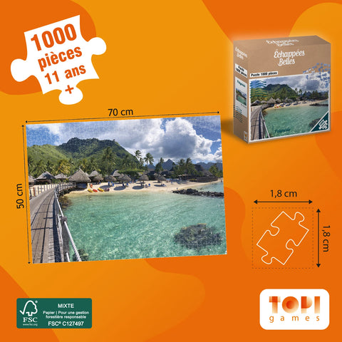 PZ ECHAPEES BELLES POLYNESIE 1000PCS