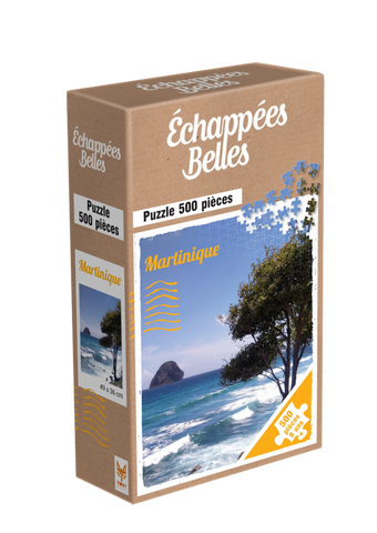PZ ECHAPEES BELLES MARTINIQUE 500PCS