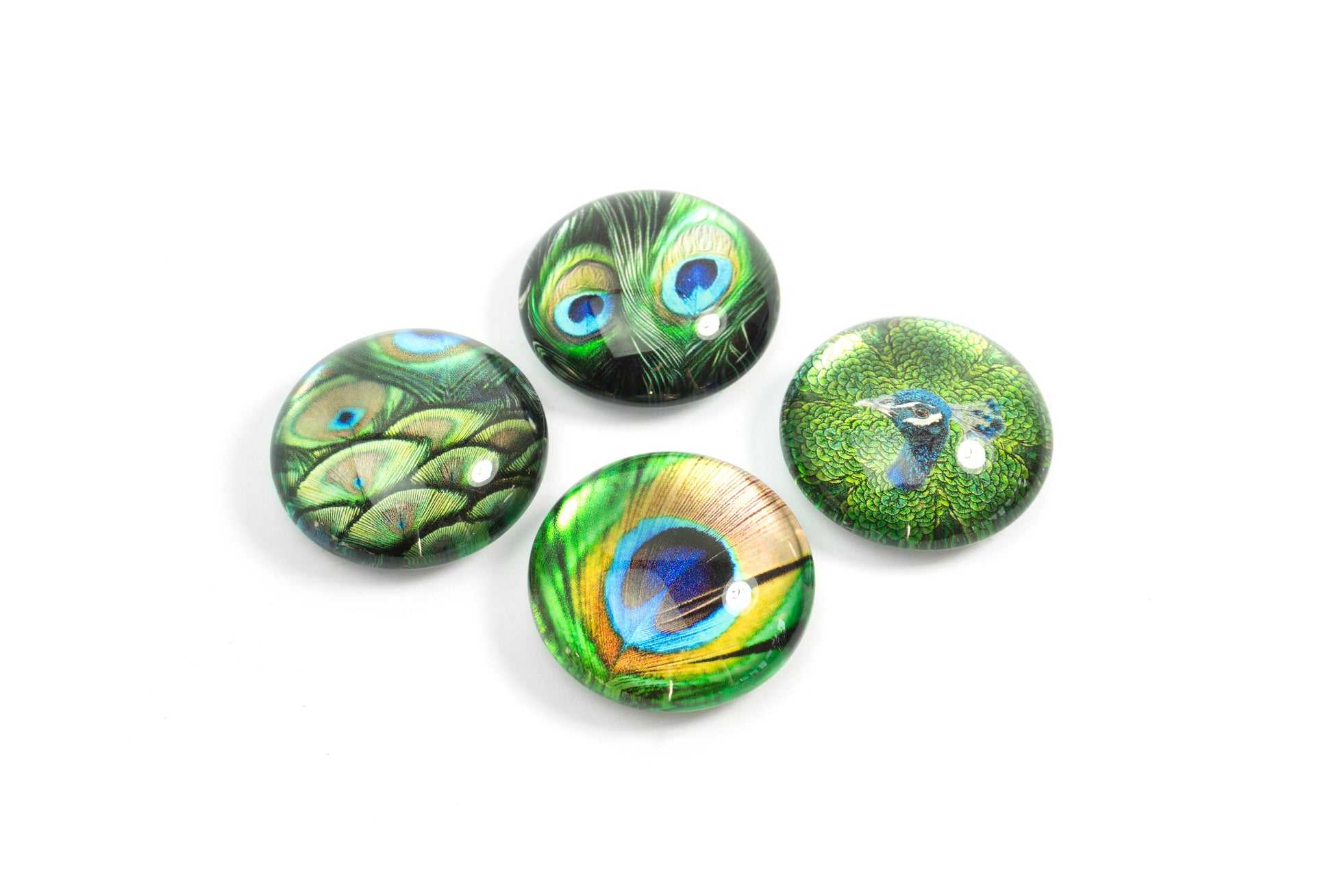 TRENDFORM EYE Magnete PEACOCK EY2020 4er Set