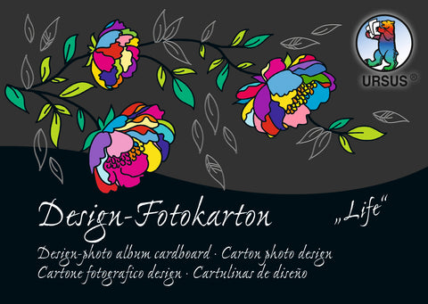 URSUS Fotokarton-Block Life A6 11436499SE 300g,60 Motive 60 Blatt