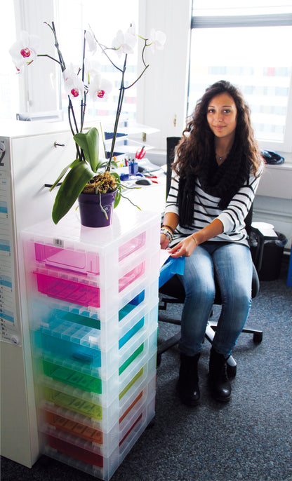 USEFULBOX Aufbewahrungsbox 30x42x92,5cm 68507600 8x7 Liter Schubalden