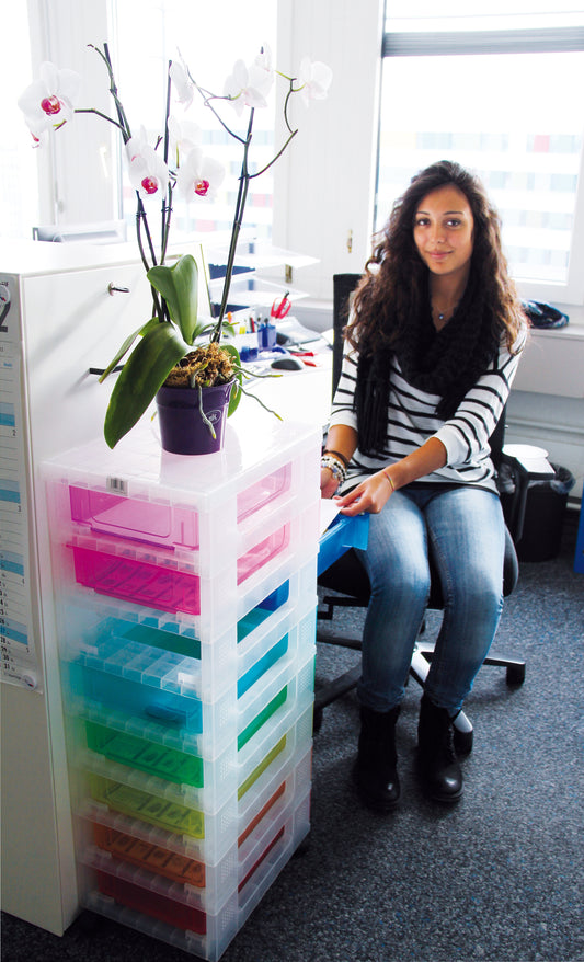 USEFULBOX Aufbewahrungsbox 30x42x92,5cm 68507600 8x7 Liter Schubalden