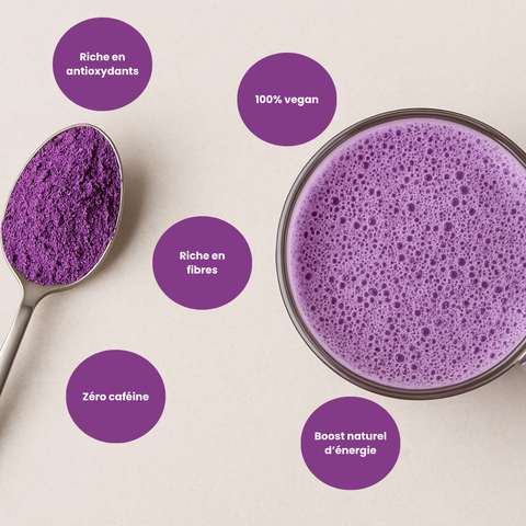 Routine – Pó de Ube Puro 225g | Fornecimento para 75 Dias • Rico em Antioxidantes • Suporte à Imunidade &amp; Digestão 💜