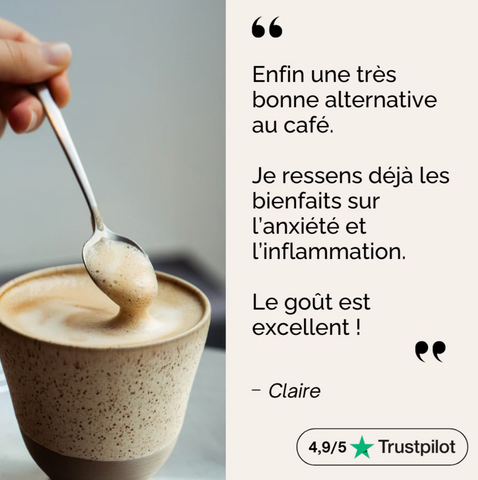 Bonjour – Original Mushroom Elixier | Leicht koffeiniert • 2200mg Adaptogene • Vegan • Hergestellt in Frankreich 🇫🇷