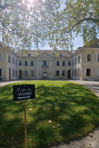 Château de Crans - Gamaret - Bold Red Wine 🍷