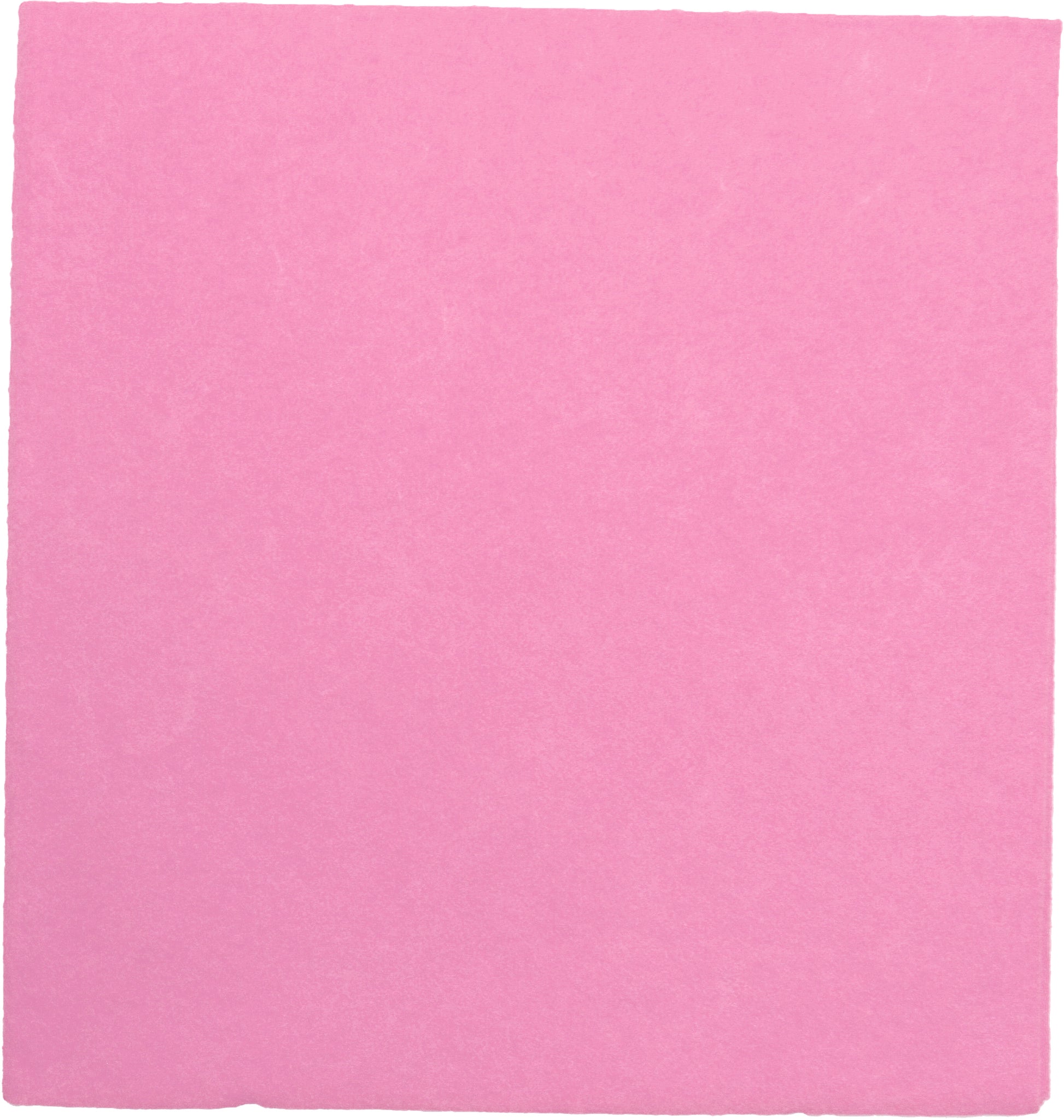 WEITACLEAN Allzwecktücher Olivia 38x40cm 279021 rose 10 Stück