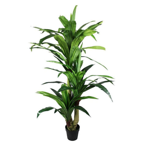 Kunst Drachenbaum – 150 cm, pflegeleicht & realistisch