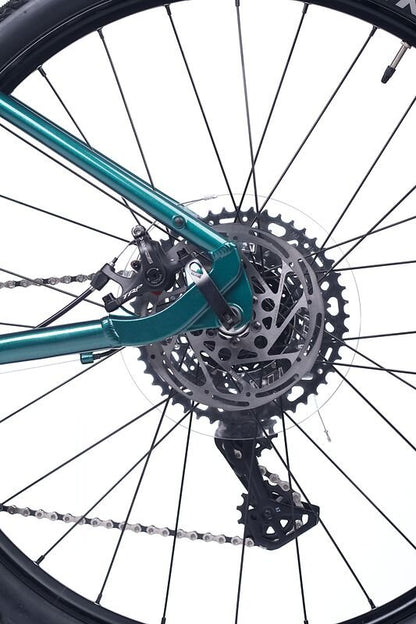 ACADEMY | Kinder Rennvelo 24" | Gravel 5 | Forest