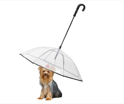 Hundeschirm mit Leine – transparent, für kleine & mittelgrosse Hunde