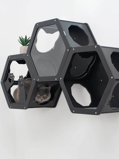 hexagon cat wall shelves