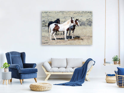 Leinwandbild 3 Wildpferde
