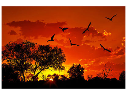 Leinwandbild African Feeling