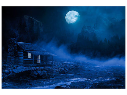 Leinwandbild Nachts im Wald