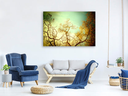 Leinwandbild Bäume im Herbst