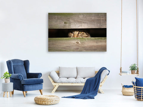 Leinwandbild Katze im Versteck