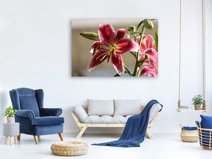 Leinwandbild Close up Lilie in rot