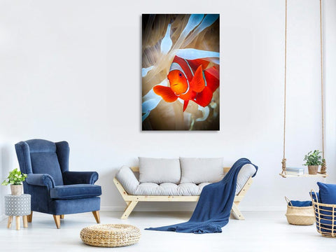 Leinwandbild Clownfish defends his white anemone