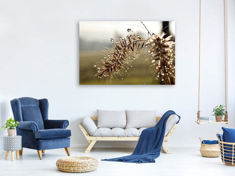 Leinwandbild Tropfen der Natur