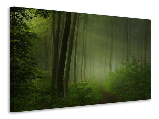 Leinwandbild Forest Morning