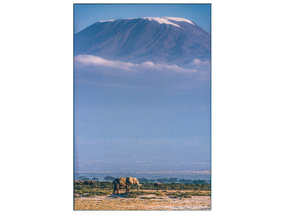 Leinwandbild Kilimanjaro And The Quiet Sentinels