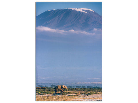 Leinwandbild Kilimanjaro And The Quiet Sentinels