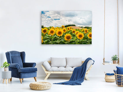 Leinwandbild Landschaft mit Sonnenblumen