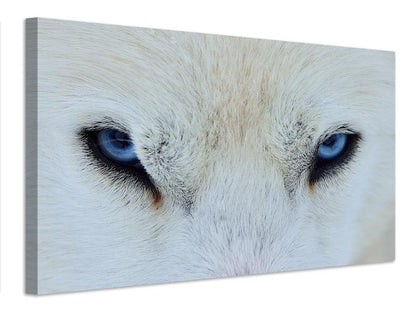 Leinwandbild Mirada azul