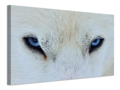 Leinwandbild Mirada azul