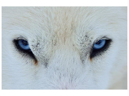 Leinwandbild Mirada azul