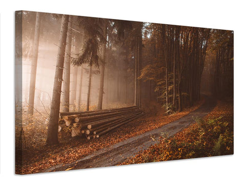 Leinwandbild Orange Beauty In Common Things